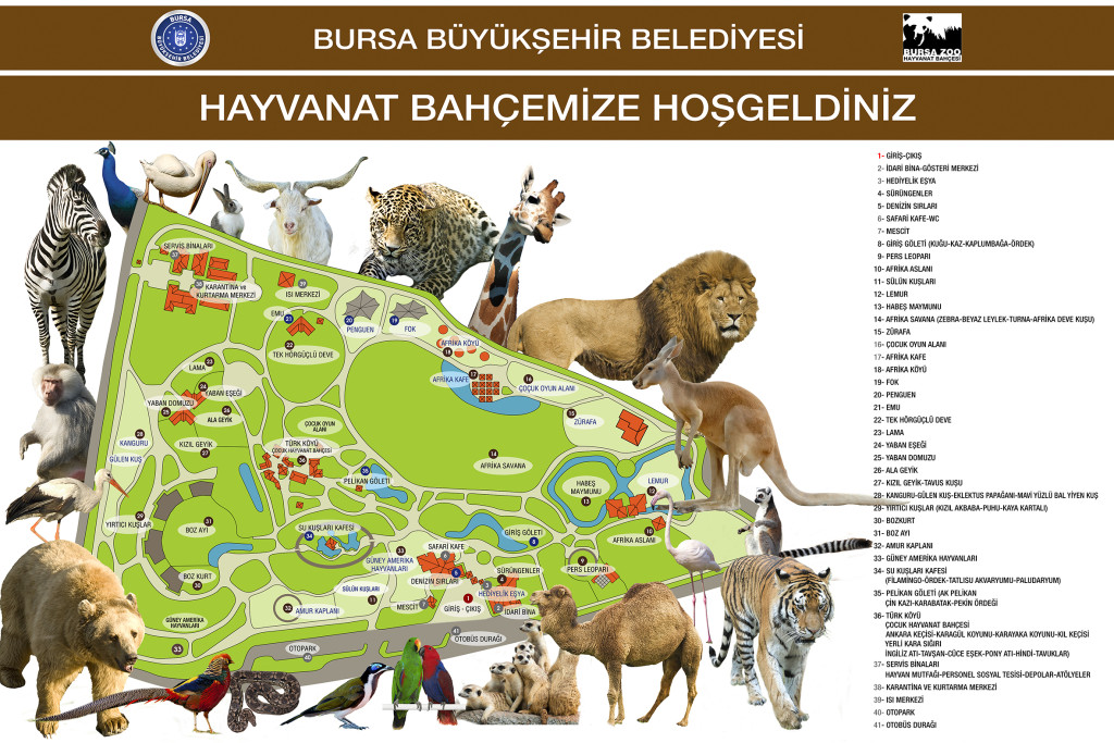 hayvanat bahçesi son harita