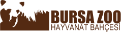 BURSA ZOO | Bursa Hayvanat Bahçesi