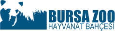 BURSA ZOO | Bursa Hayvanat Bahçesi
